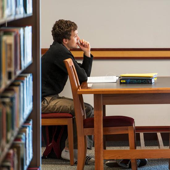 Male student studying in the library